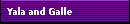 Yala and Galle